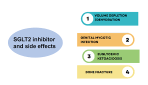 Image result for SGLT2 Inhibitor