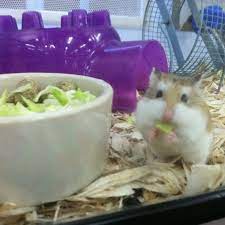 Visit your local sarasota petsmart store for essential pet supplies like food, treats and more from top brands. Photos At Petco Sarasota Fl