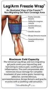 Hamstring Muscle Tear And Tendon Tear Hamstring Muscles Hamstrings Hip Flexor