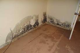 Typische stellen im haus, an denen sich schnell schimmel bildet, sind fensterleibungen, silikonfugen im bad, die ecken an außenwänden, die wand hinter den möbeln im schlafzimmer und im keller. Schimmel In Der Wohnung Symptome Und Was Tun