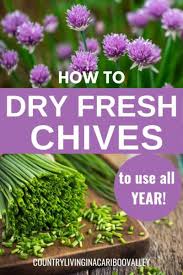 First comb dry mustache with fine toothed mustache comb. How To Dry Chives Different Ways To Dry Fresh Herbs For Using Later