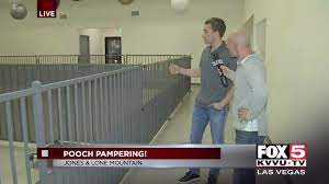 Maybe you would like to learn more about one of these? Tails Pet Resort Opens In North Las Vegas News Fox5vegas Com