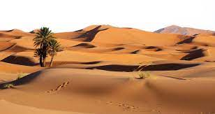 Desert Png Image Desert Transparent Free Download Sahara Desert Sahara Fun Deserts