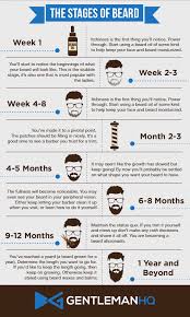 Stages Of Beard Growth Infographic From Gentlemanhq Notice