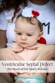 Ventricular Septal Defect Baby Heart Warrior Heart Disease Ventricular Septal Defect Open Heart Surgery Pediatric Heart