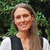 Honors for Teaching, Creativity & More