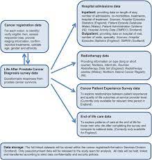 Hormone therapy is often used to treat advanced prostate cancer to shrink the cancer and slow its growth. Life After Prostate Cancer Diagnosis Protocol For A Uk Wide Patient Reported Outcomes Study Bmj Open