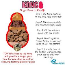 Pin On Dog Cat Facts