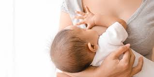 Jadwal makan dan menyusu bayi 6 bulan. Mengenal Kebutuhan Asi Untuk Bayi Yang Baru Lahir