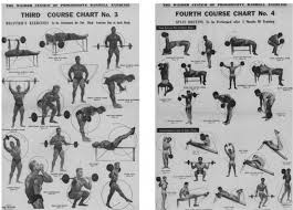 1950 Weider Barbell Course Bodybuilding Com Forums