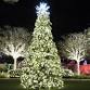 Holiday Lights In The Gardens 2025 event image