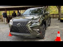 Image result for Nori Green 2022 LC