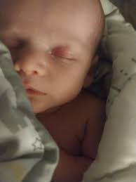 That1girl@420dogmom (@voiceforyou83)