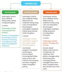 Kunci jawaban tema 5 kls 5 hal 91. Materi Dan Kunci Jawaban Tematik Kelas 5 Tema 5 Subtema 2 Halaman 85 86 87 89 Gawe Kami