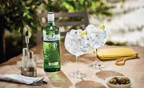 All content copyright © stan gordon productions: Gin Brand Champion 2019 Gordon S