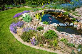 Image result for garden pond ideas