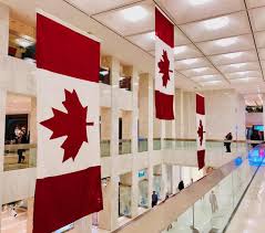 You can only seek to make progress gradually. Trading Investment Firm Coinrise Announces Plans To Expand Services In Canada