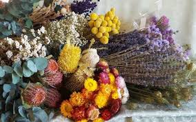 We did not find results for: Dried Flowers Suppliers