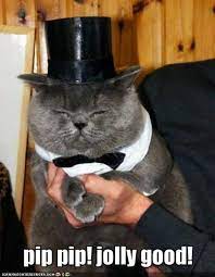 Pin On Funny Animals