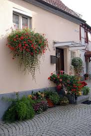 Check spelling or type a new query. Window Box Flowers For Sun Window Box Flowers Window Box Plants Window Box Garden