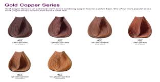 Your hair color is a piece of the big puzzle when completing your look. Dark Golden Blonde Hair Color Chart