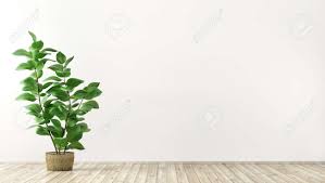 We did not find results for: Empty Interior Background Room With White Wall Vase With Plant Stock Photo Picture And Royalty Free Image Image 128326843