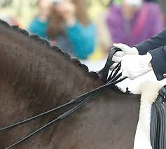 With anna odell, mikael persbrandt, trine dyrholm, vera vitali. Herzlake Emma Kanerva Gewinnt Stark Besetzten Grand Prix Epaillard Das Hauptspringen