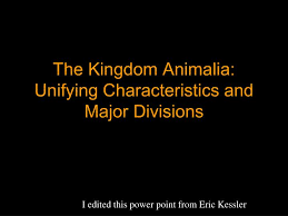 Ppt The Kingdom Animalia Unifying Characteristics And