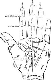 Print 1900 Palm Reading Age Lines Of Life Fate
