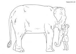 Elefanten können über drei meter hoch und bis zu fünf tonnen schwer werden! Ausmalbild Elefant Kostenlos Malvorlage Elefant