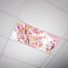 Octo Lights Fluorescent Light Covers 2x4 Fluorescent Light Filters Ceiling Light Covers For Classroom Kitchen Office Flower 006 Amazon Com