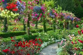 Where is the world s largest flower garden simplemost. Pin By Julie Rorden On Rose Garden Beautiful Flowers Garden Rose Garden Design Rose Garden Landscape