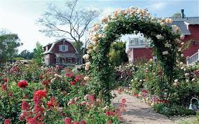 Inside Michael Buble S Home In La Classic Contemporary House In The Hollywood Hills Top Celebrity Homes Rose Garden Design Dream Garden Barbra Streisand