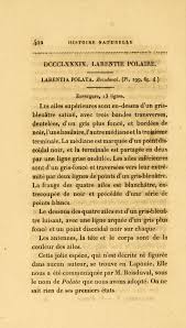 Image result for Entephria polata