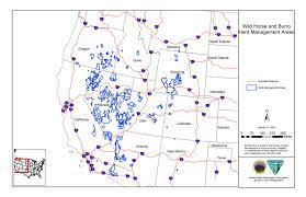 Big Energy And Wild Horses Wild Horse Education