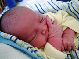 Image result for newborn diaper rash