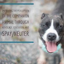 We pride ourselves in being there. Heart Pet Rescue Home Facebook