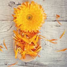 Why Choose Calendula Calendula Skincare Natural Eczema Bodyceuitcals Calendula Calendula Cream Calendula Oil