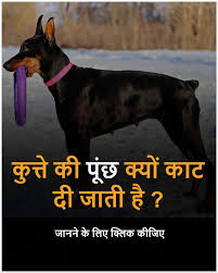 Pin On Did You Know