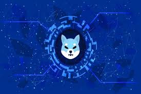 Instead, the shiba community had gifted him the crypto as a joke. Shiba Inu Versus Dogecoin Key Things To Know Before Investing In These Cryptocurrencies Cnbctv18 Com