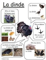Publication Du 30 10 2016 Francuzskij Yazyk Le Francais Pour Toi Vk 2020 Hayvan Kartlari Hayvan Hayvanlar
