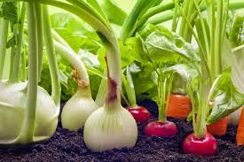 They're one of the best practical ideas on farming, and finally, it's not hard to diy. Vegetable Gardening In A Small Space