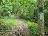 Ohio River Chapter Hike - Williamsburg pt10 to pt14