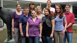 Working Group-a Portrait: Environmental Toxicological Risk Assessment and  Models of Human Spheres