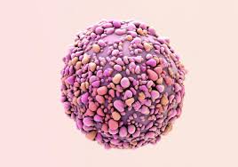 Great improvements have been made in breast cancer treatment over the past twenty years. Antibiotic May Prevent Breast Cancer Recurrence