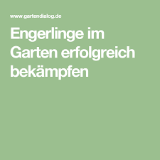 Engerlinge Im Garten Erfolgreich Bekampfen Gartendialog De Engerlinge Garten Engerlinge Bekampfen