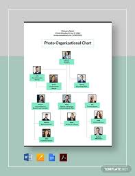 Download Photo Organizational Chart Templates Pdf Word