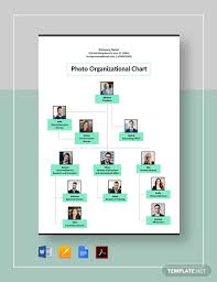 download photo organizational chart templates pdf word