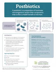 The human body is complex. Postbiotics What Are They And How Are They Different From Other Biotics Kerry Health And Nutrition Institute