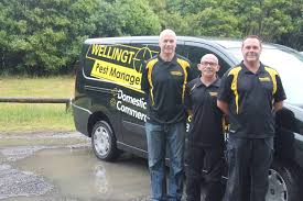 That is how we cater to. 5 Best Pest Control Companies In Wellington
